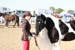 SBM_00087