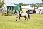 SBM_13494