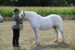 WJ6_6604