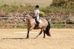 SBM_010643