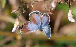 AnimalsCreatures _0045