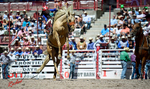 3HRodeo_CFD_JUL_18_2026_03984