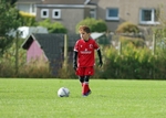 Wattsfield Under 8 vs Ibis Under 8 (12/10/24) portfolio