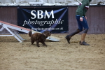 SBM_005601