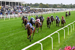 200826-Race 3-The Lost King-0439