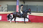 SBM_06210