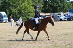WJ6_8343