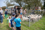 Guernsey Agricultural Show 2021-79