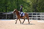 WJ6_8976