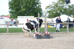 SBM_16818