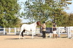SBM_08332