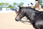 SBM_08876