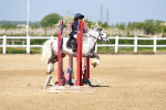 SBM_007275