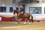 SBM_20216