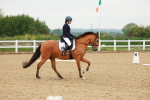 SBM_005333