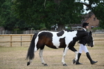 WJ6_7833