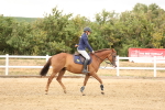 SBM_023162