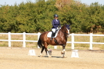 SBM_017946