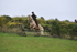 WJ5_6987