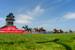 230626-Race 2-Tattie Bogle-5173