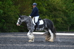 WJ5_9104