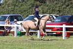 Cornish Combination Championship portfolio
