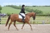 BPP_9291