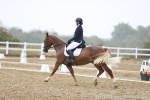 SBM_004637