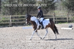 BPP_9584