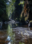 Fairy Glen