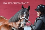 JAC_6219