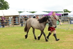 SBM_00460