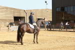 SBM_000367