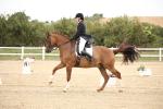 SBM_020221
