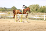 SBM_004370