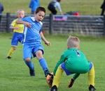 Wattsfield U8 (2/7/22) portfolio