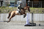 BVRC SJ 170319 390
