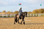 SBM_003293