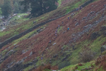 Langdale-10