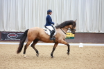 SBM_001941