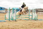 SBM_001913