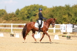 SBM_018331