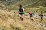 Hartsop Hop-424