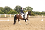 SBM_005568