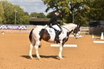 SBM_05593