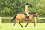 SBM_71868