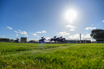 300926-Race 3-Fairydale-8144