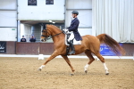 SBM_008942