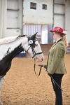 Class 1 - In Hand Cob portfolio