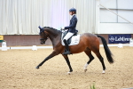 SBM_004452
